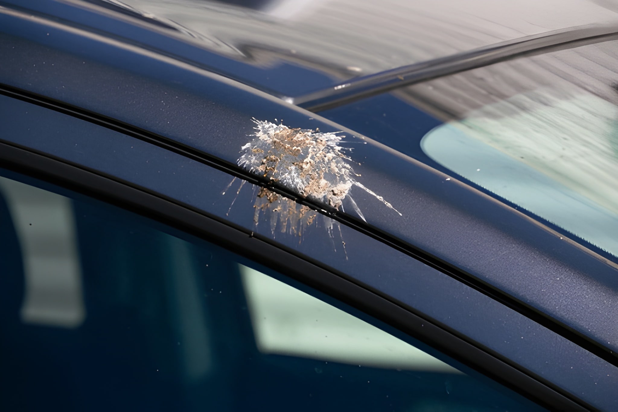 steptodown.com668030