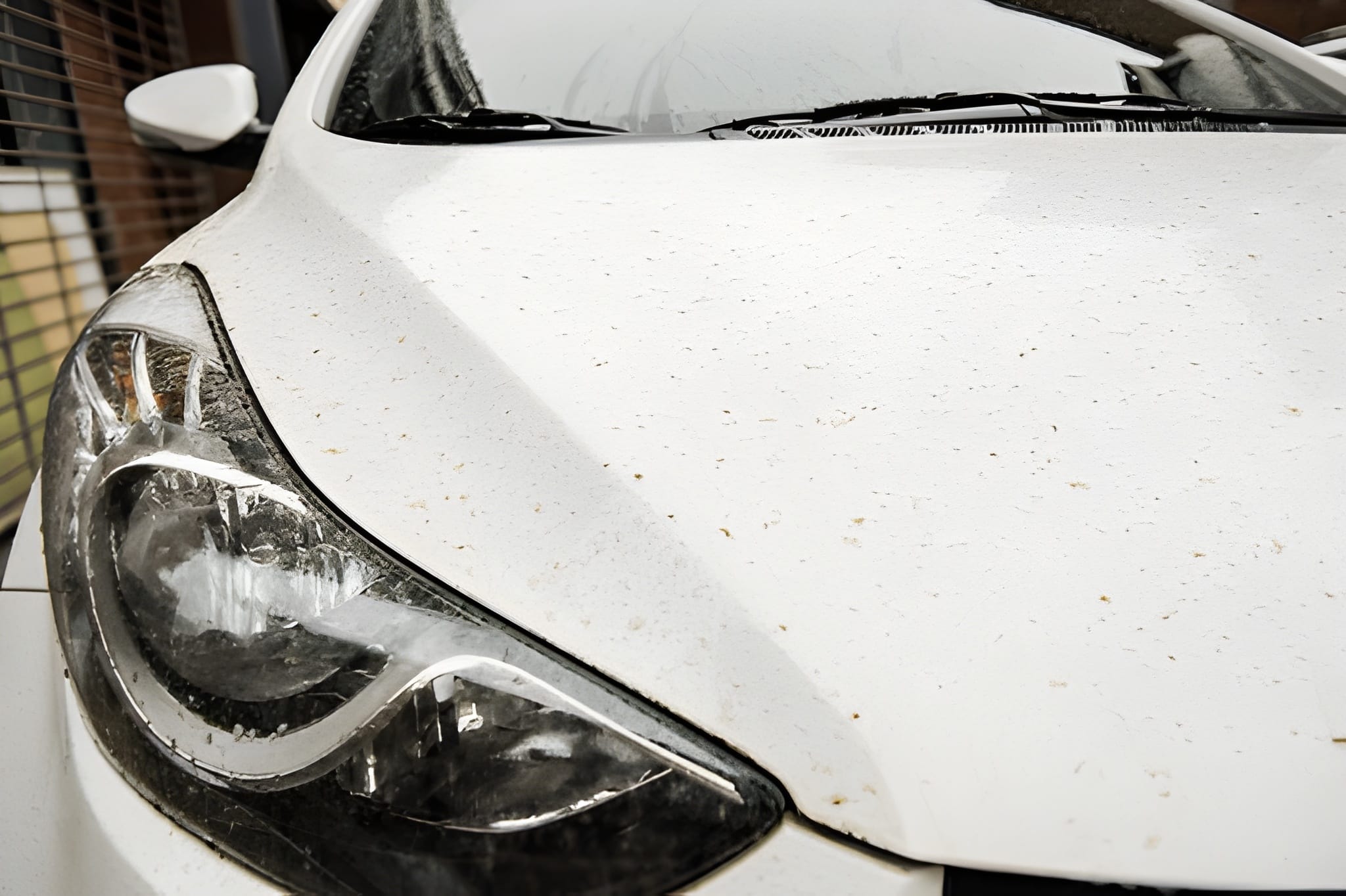 steptodown.com799667