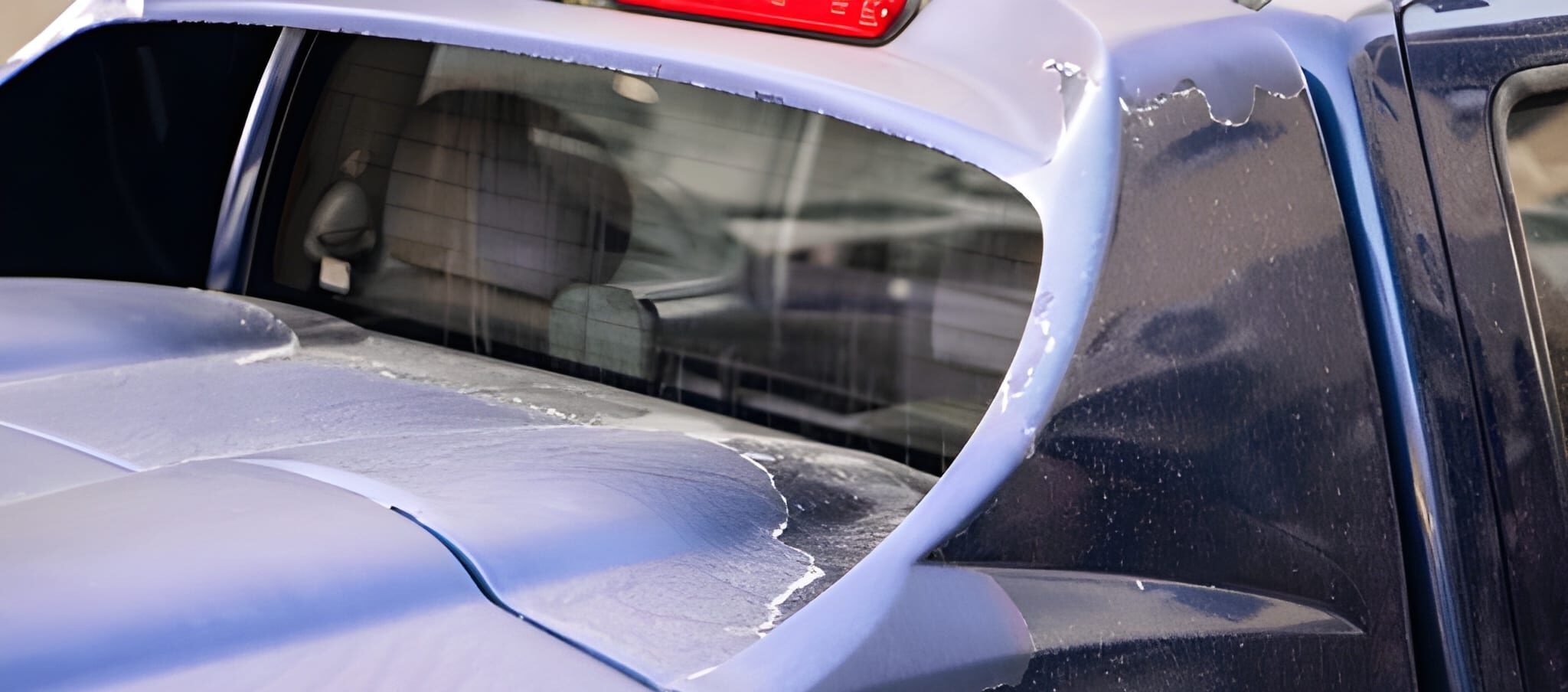 steptodown.com281352