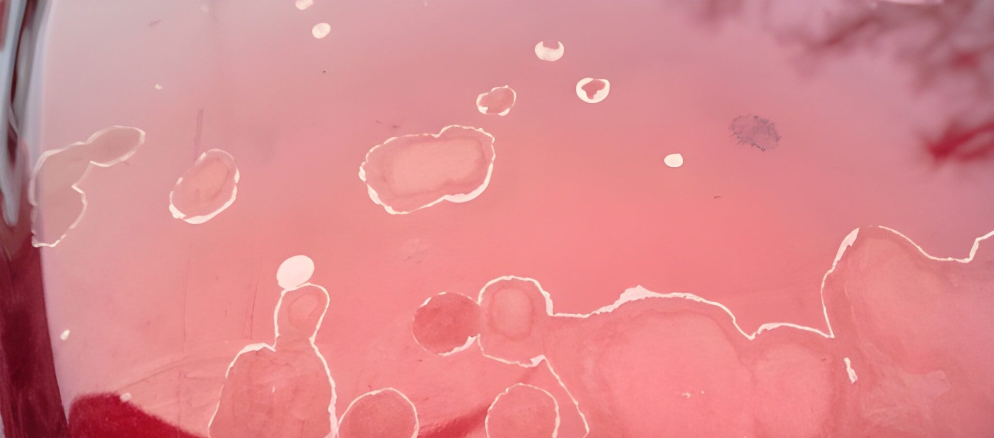 steptodown.com309184